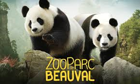 zoo de Beauval